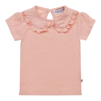 Dirkje T-shirt old pink